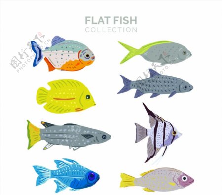 扁平化彩色鱼类图片