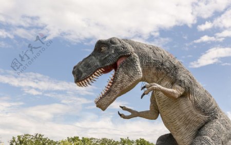 恐龙玩偶玩具模型背景素材图片