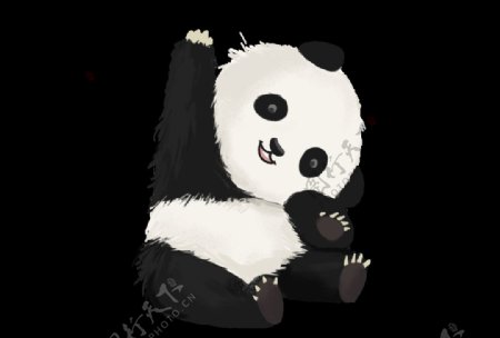 手绘小熊猫图片