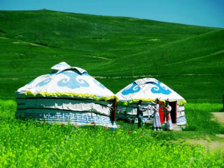坝上草原蒙古包图片