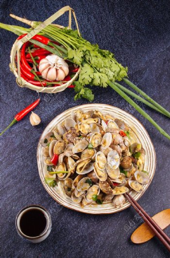 蛤蜊美食食材背景海报素材图片