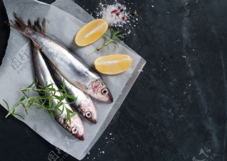 三文鱼海鲜食材背景海报素材图片