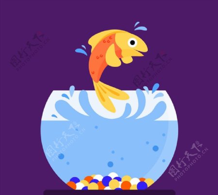 彩色跳跃的金鱼图片
