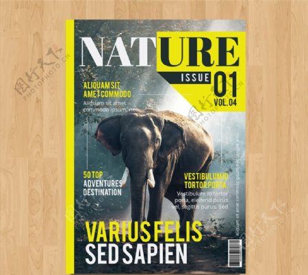 大象自然杂志封面图片