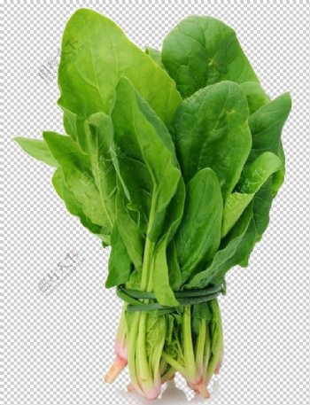 菠菜图片