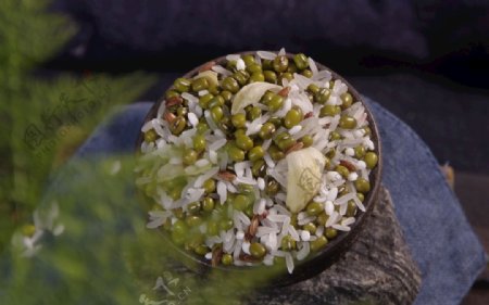 绿豆百合小米红米糯米图片