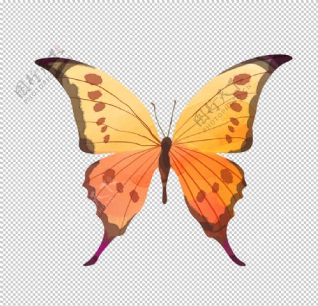 蝴蝶插画卡通海报素材图片
