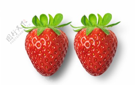 免抠草莓png素材图片