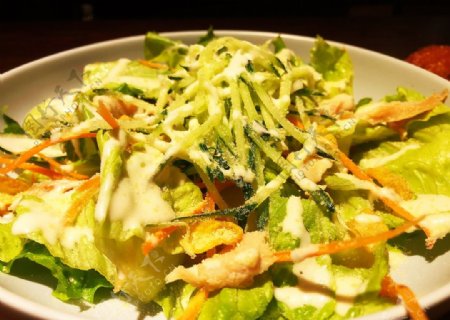 素食蔬菜沙拉图片