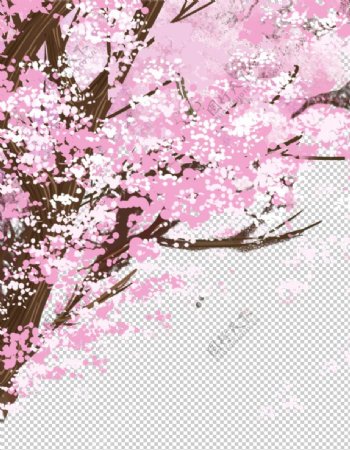 樱花素材图片