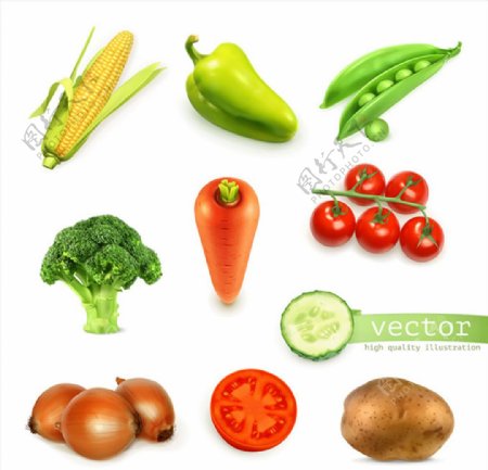 矢量卡通蔬菜图片