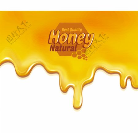 金黄色流淌的蜂蜜图片
