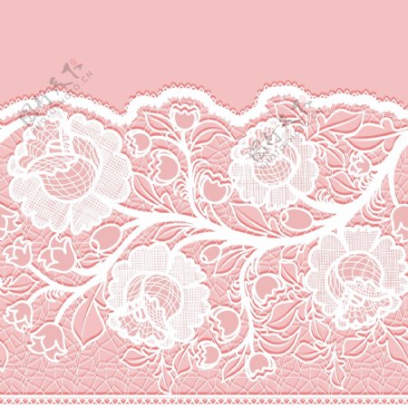 白色蕾丝花卉图片