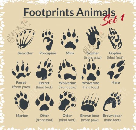 动物脚印矢量图片