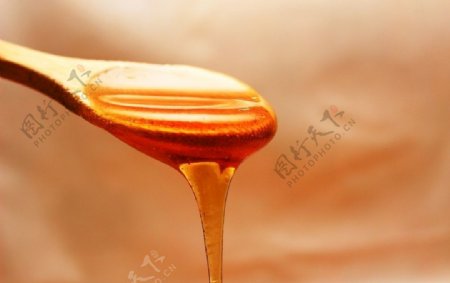 香甜营养的蜂蜜图片