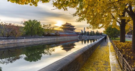 中国北京神武门的秋天图片