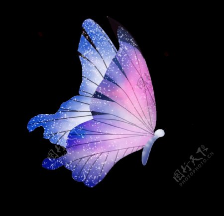 蝴蝶紫红翅膀水墨透明PNG明艳图片