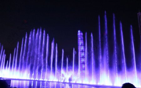 夜晚灯光紫色梦幻喷泉图片