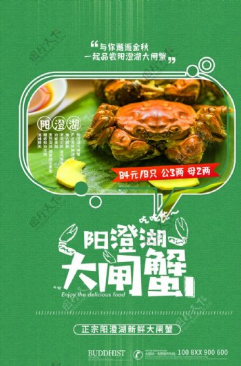 阳澄湖大闸蟹广告海报设计图片