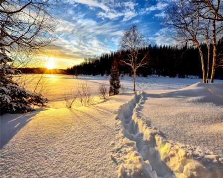 雪地风景画图片