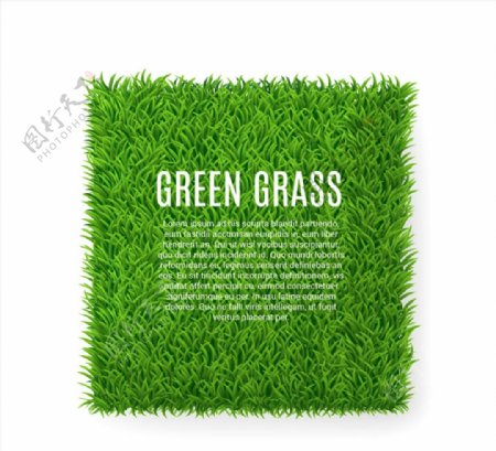 方形绿色草坪矢量图片