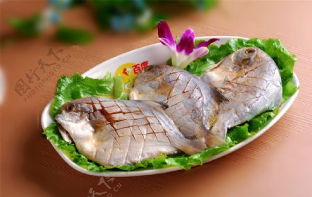 海鲜武昌鱼图片