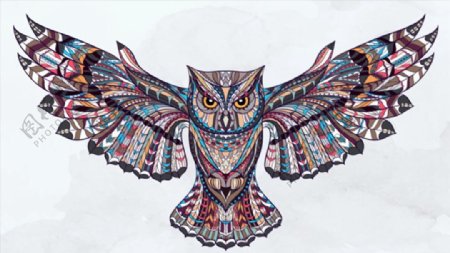 貓頭鷹紋身插畫圖片