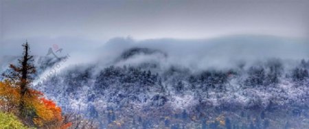 峨眉山第一场雪图片