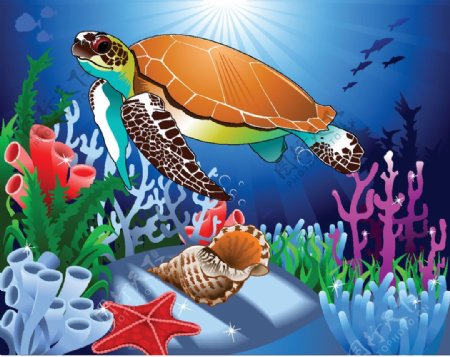 海底乐园生物水底乐园水草图片
