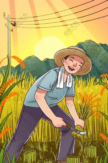 农民收割收庄稼插画图片