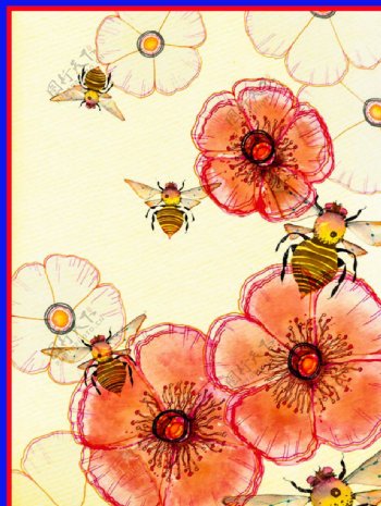 蜜蜂花朵圖片