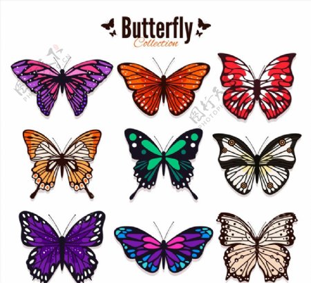 彩色蝴蝶设计图片