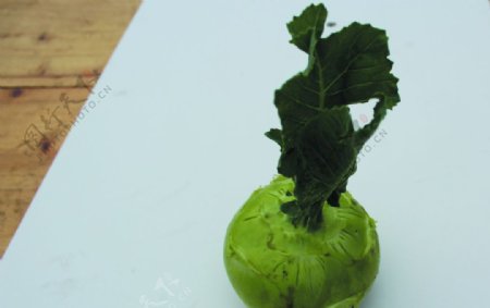 蔬菜苤兰图片