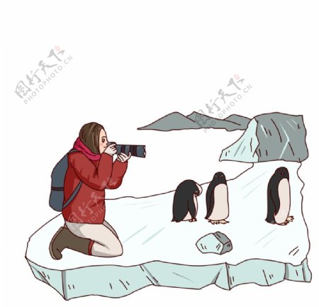 手绘企鹅插画图片