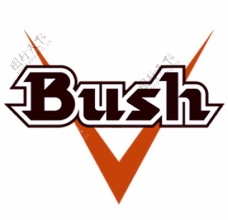 布什啤酒bush图片