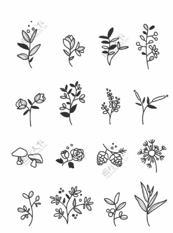 植物花卉线稿图图片