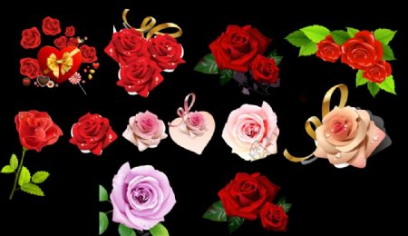 玫瑰花素材圖片
