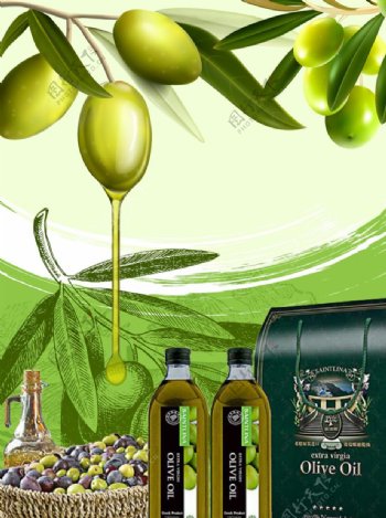 橄榄油广告海报包装图片