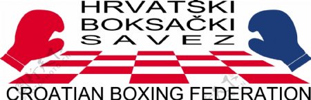 哈佛商学院的群boksacki前克罗地亚拳击联合会