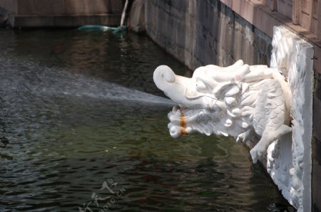 传统建筑水池中的喷水龙
