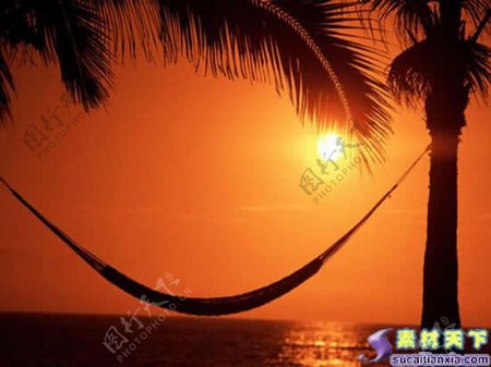 夕阳椰树海景PPT模板