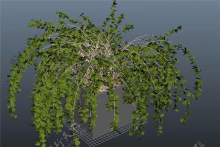 绿色植物盆栽游戏模型