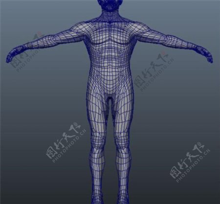 人体结构游戏模型素材