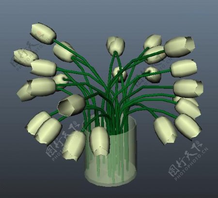 3D花朵