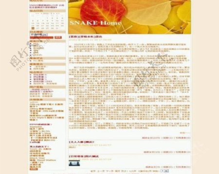 中文论坛模版图片