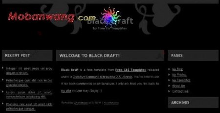 黑色信息BLOG网页模板
