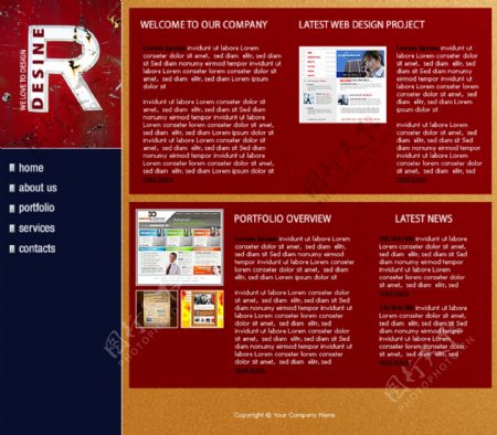 欧美网页设计团队网页模板