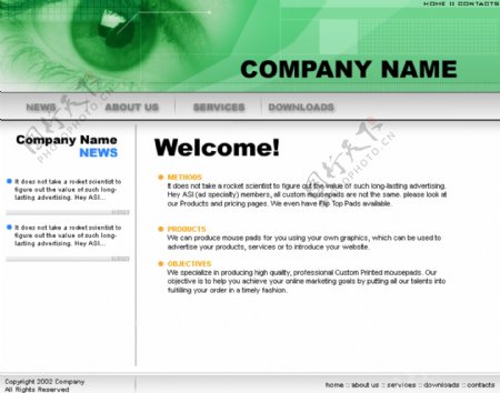 欧美软件公司绿色网页模板