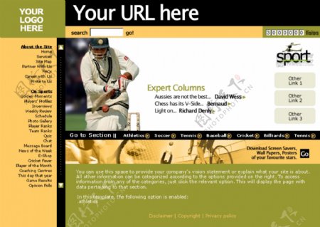 欧美专业运动网站模板