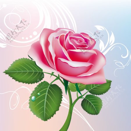印花矢量图植物花卉优雅植物玫瑰花免费素材